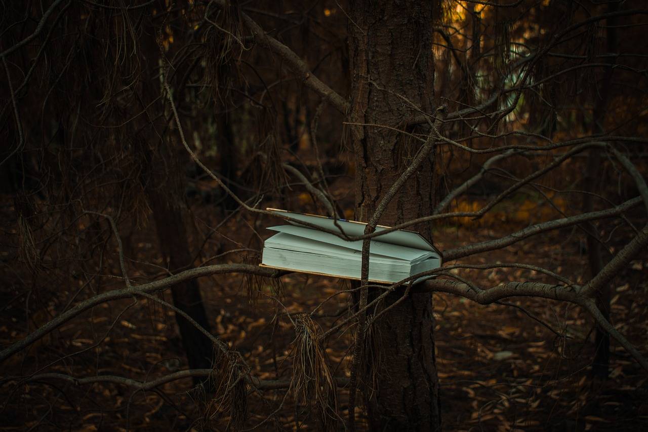 Examining the Benefits of Multilingual Education Programs