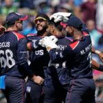 Lotus365 Vip, Lotus365 Vip