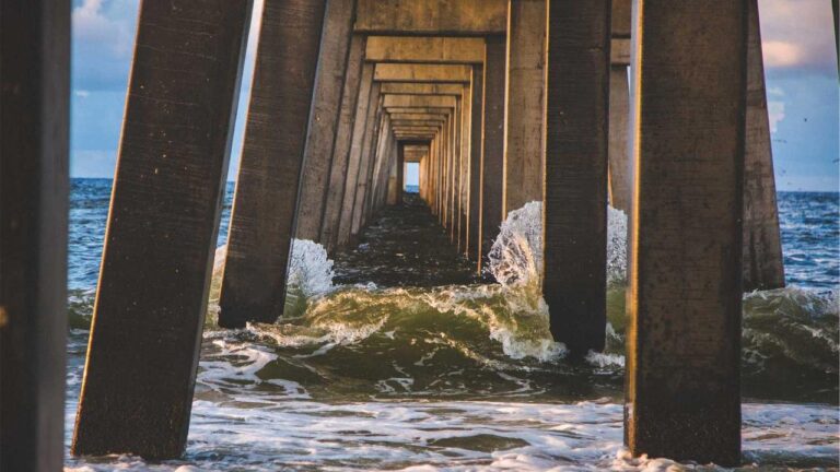 How To Complete Reddy Anna 11Xplay Login Registration?